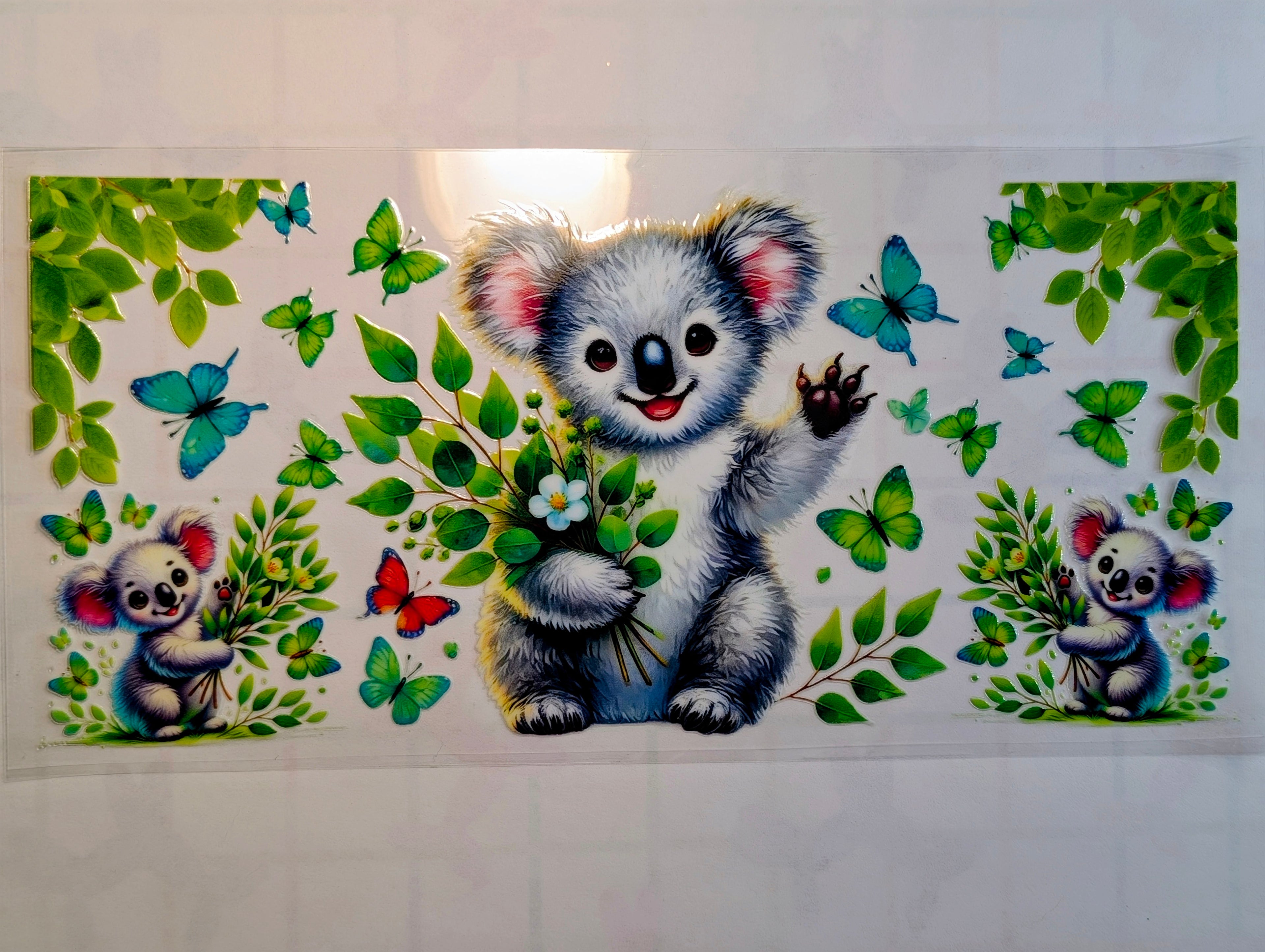 Koala #1