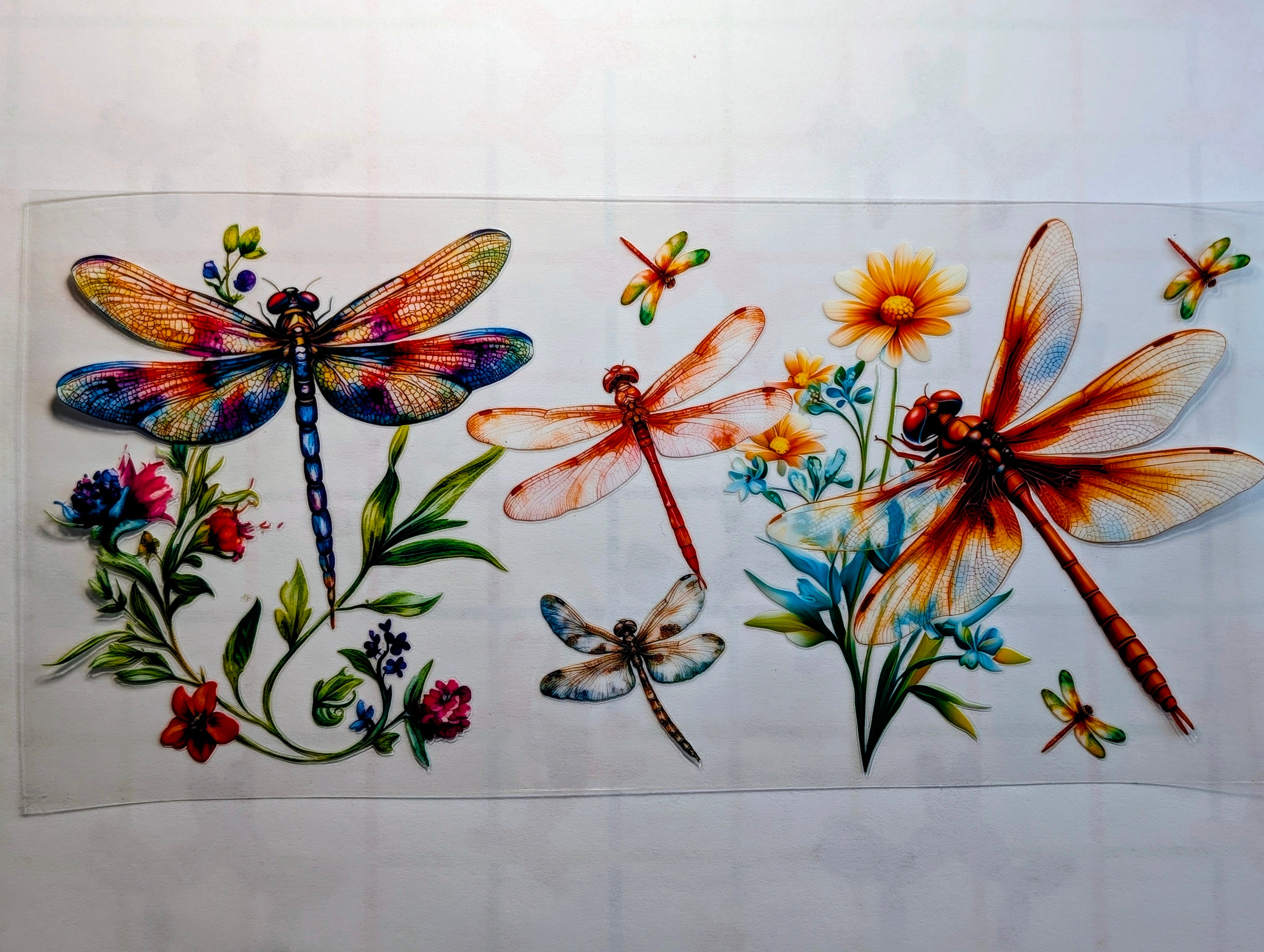 Dragonfly #1