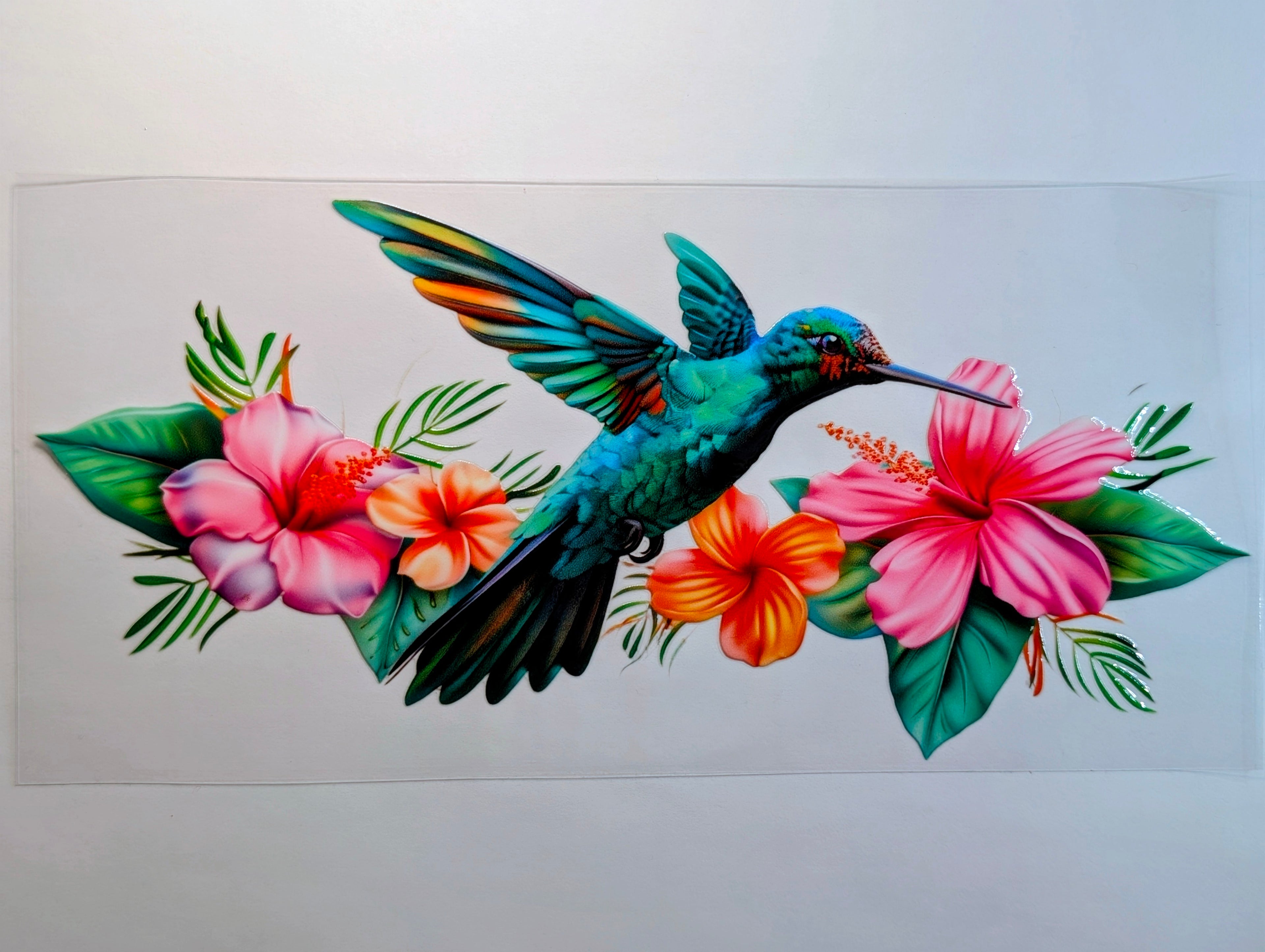 Hummingbird #1