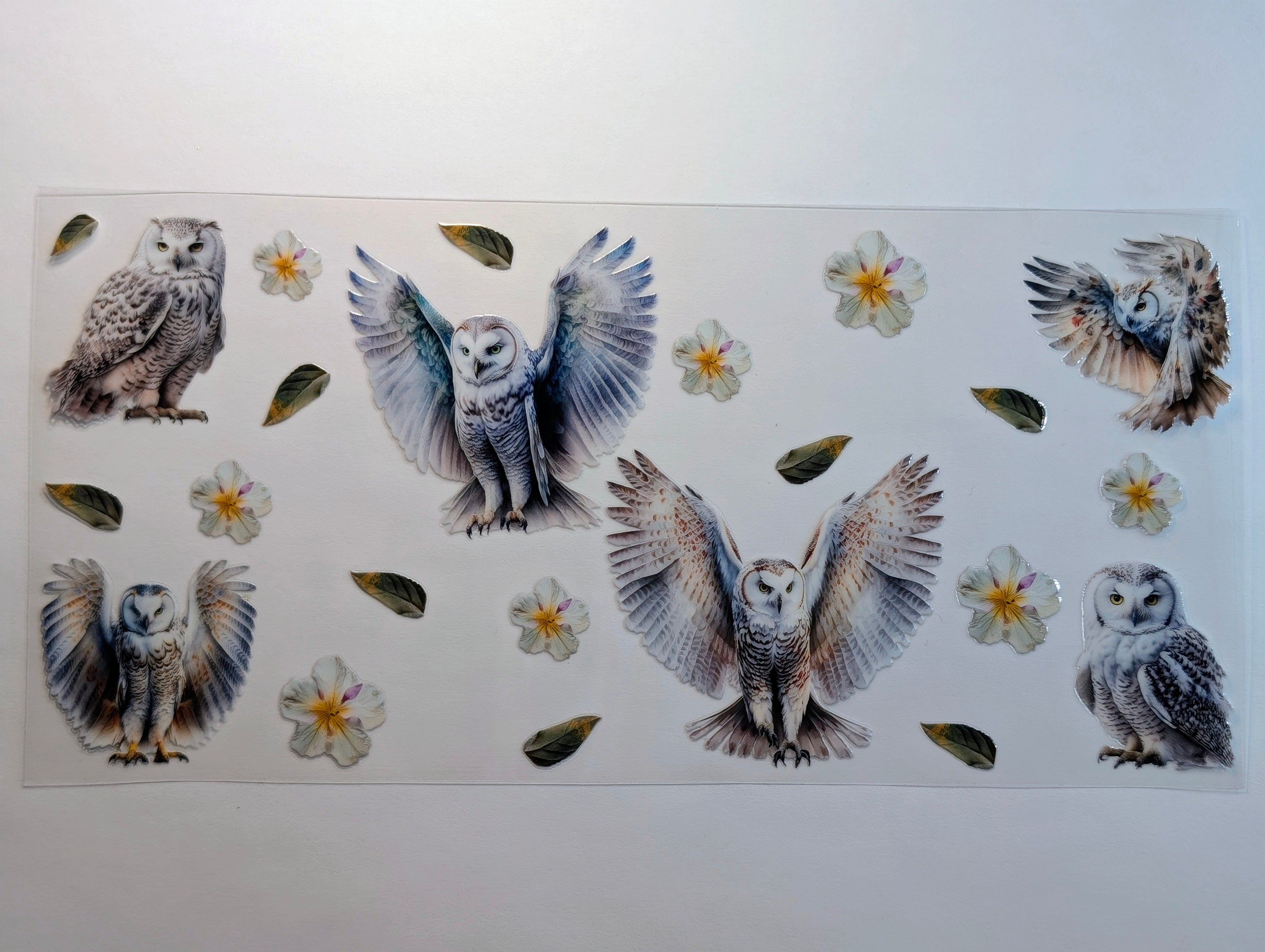 Owl #2