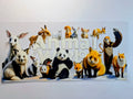 Animal World #1