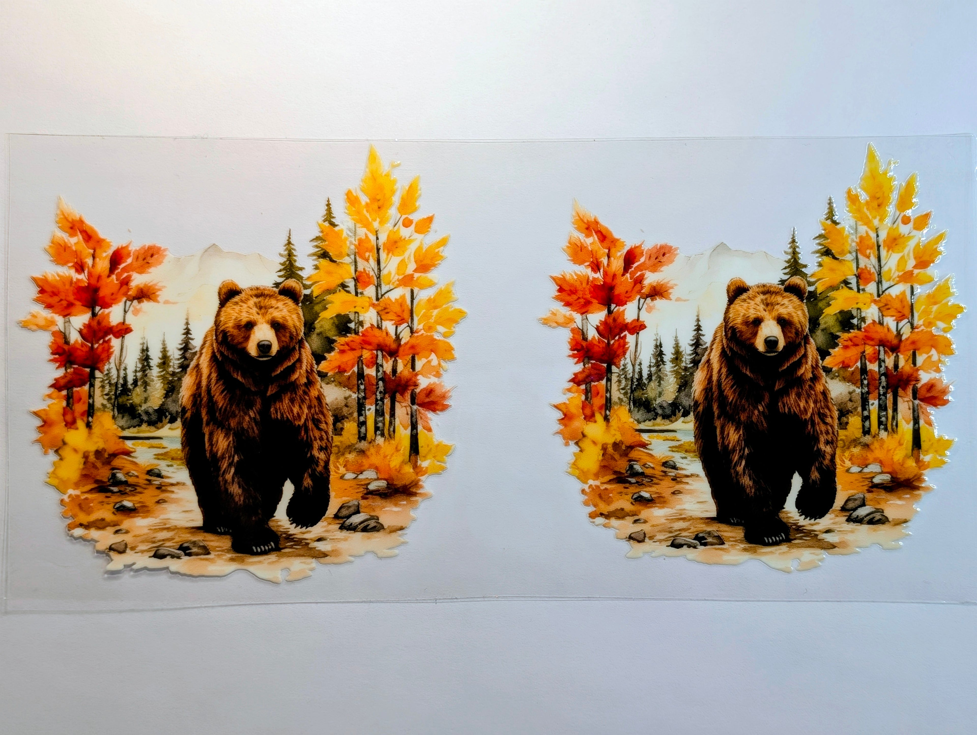 Bear #1