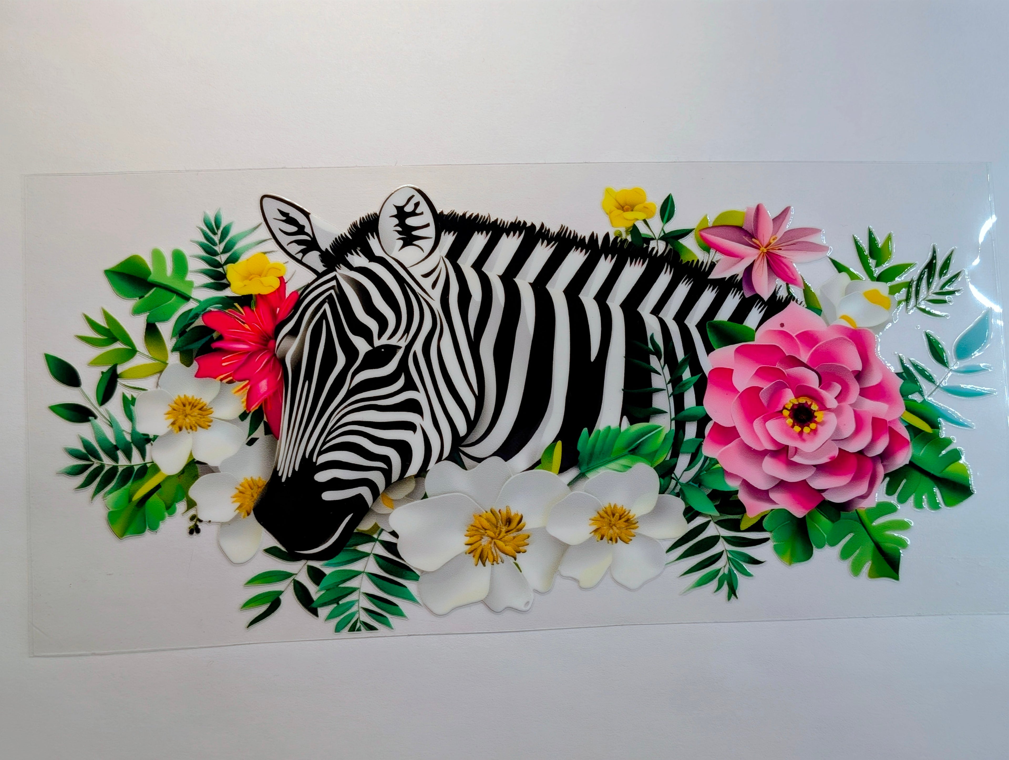 Zebra #1