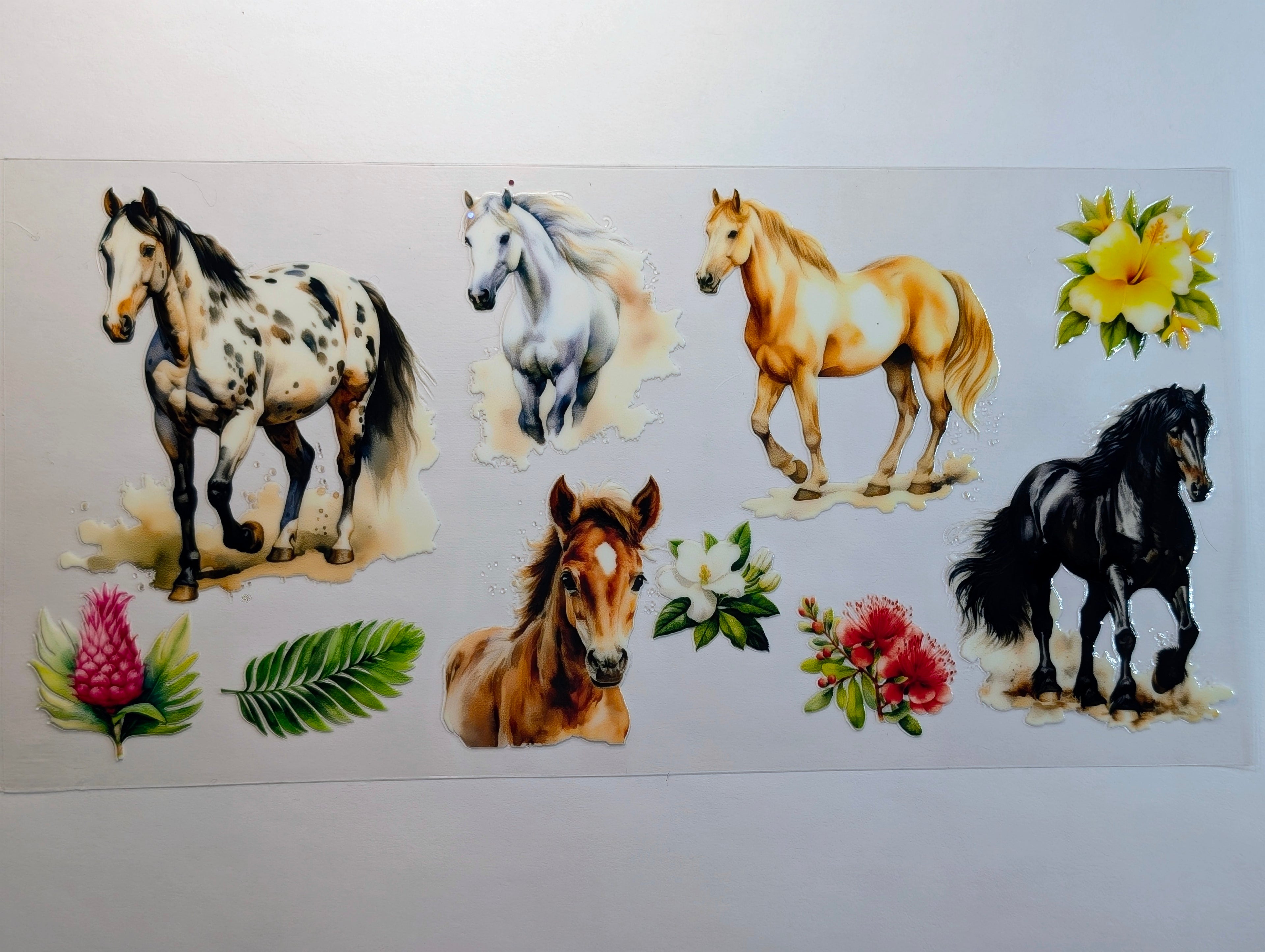 Horse #3