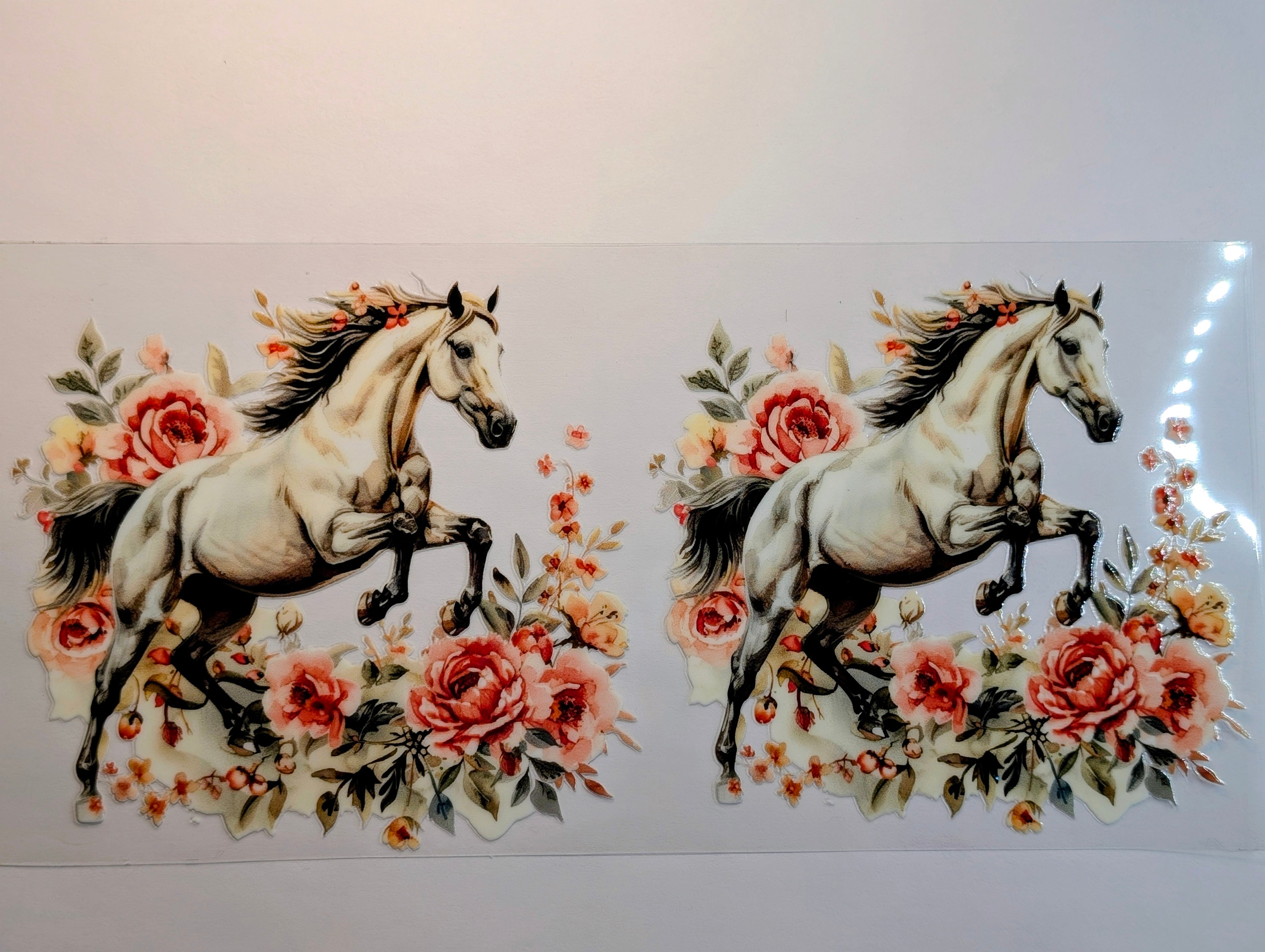 Horse #5