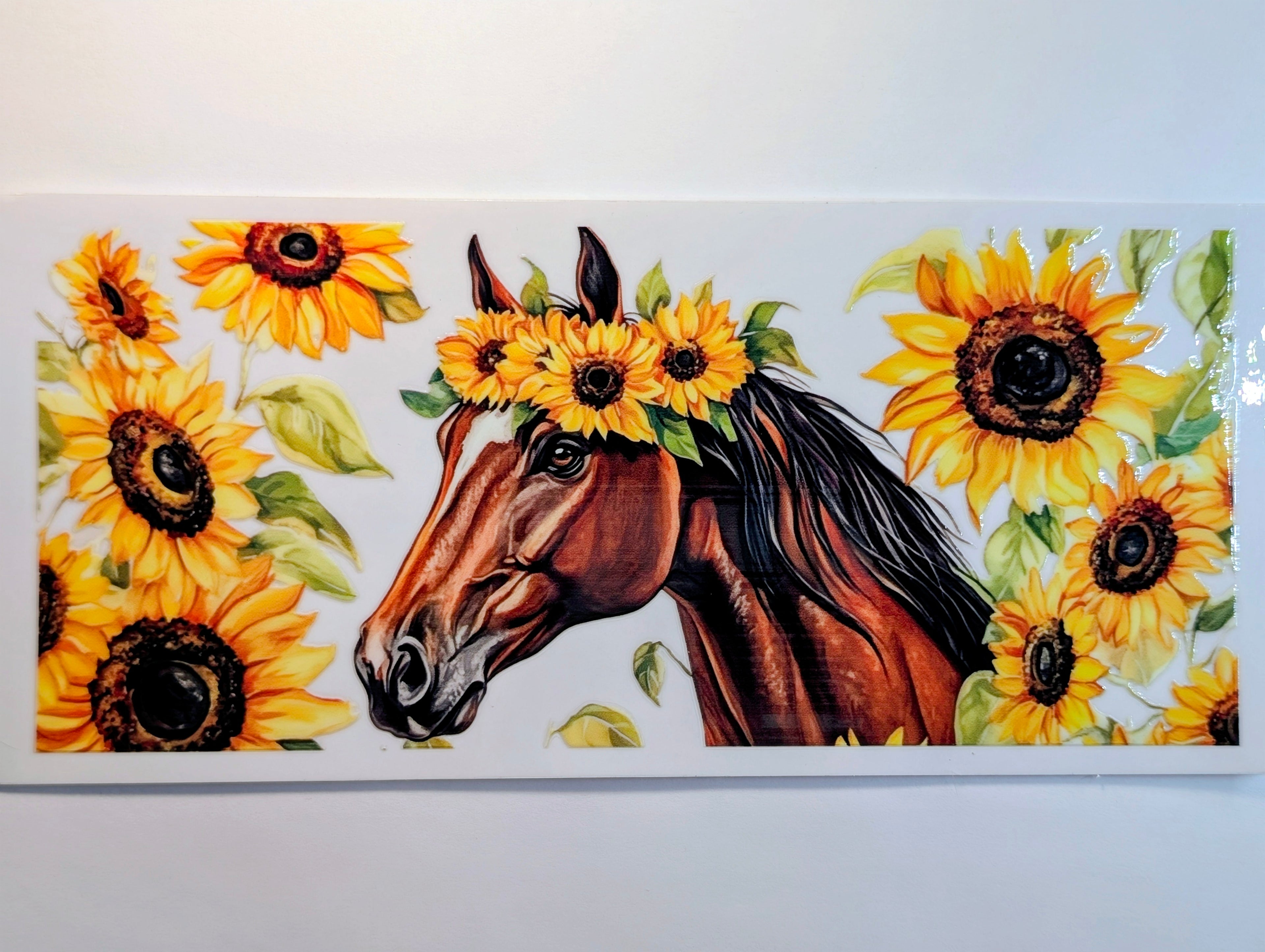 Horse #8