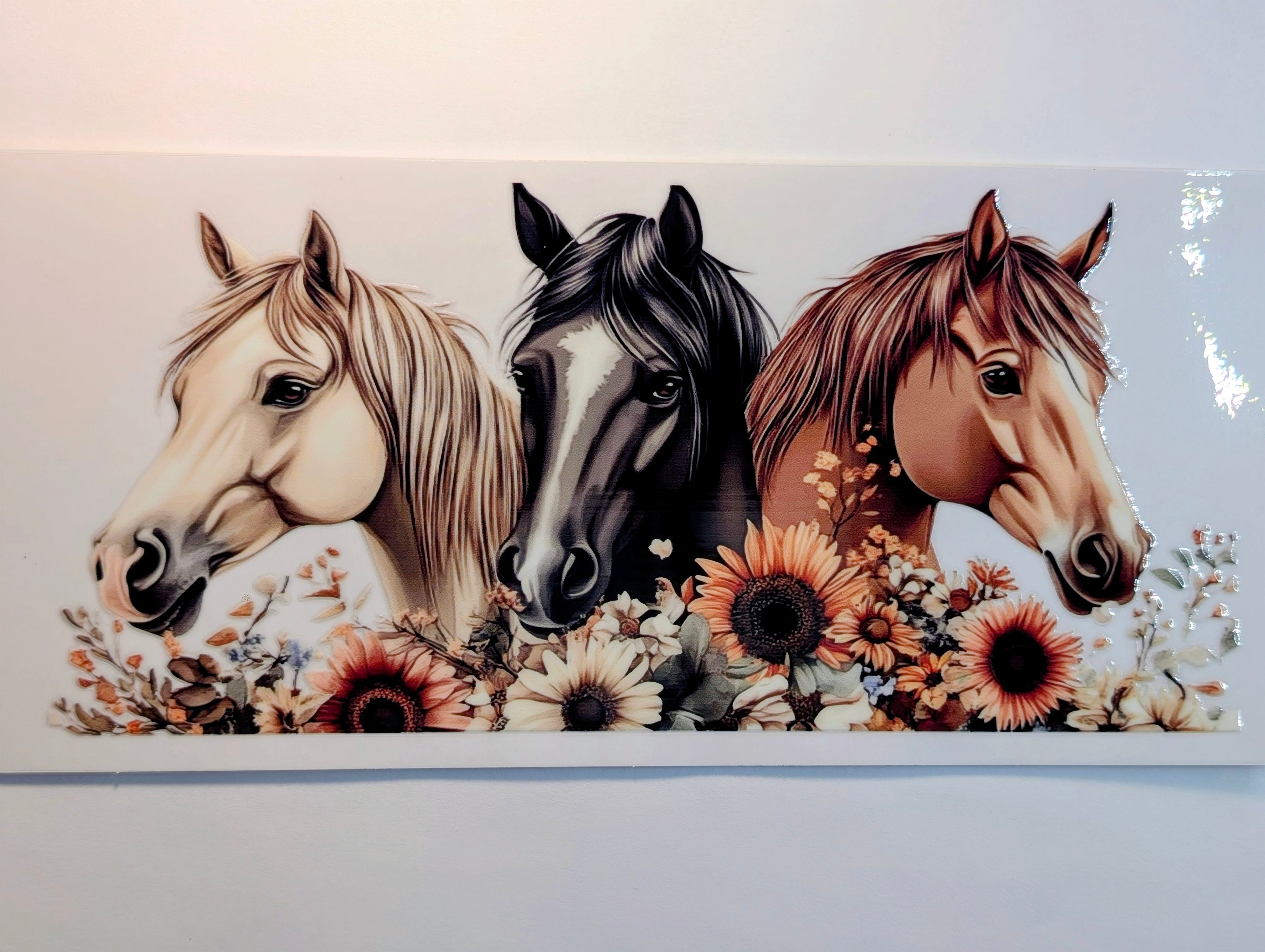 Horse #11