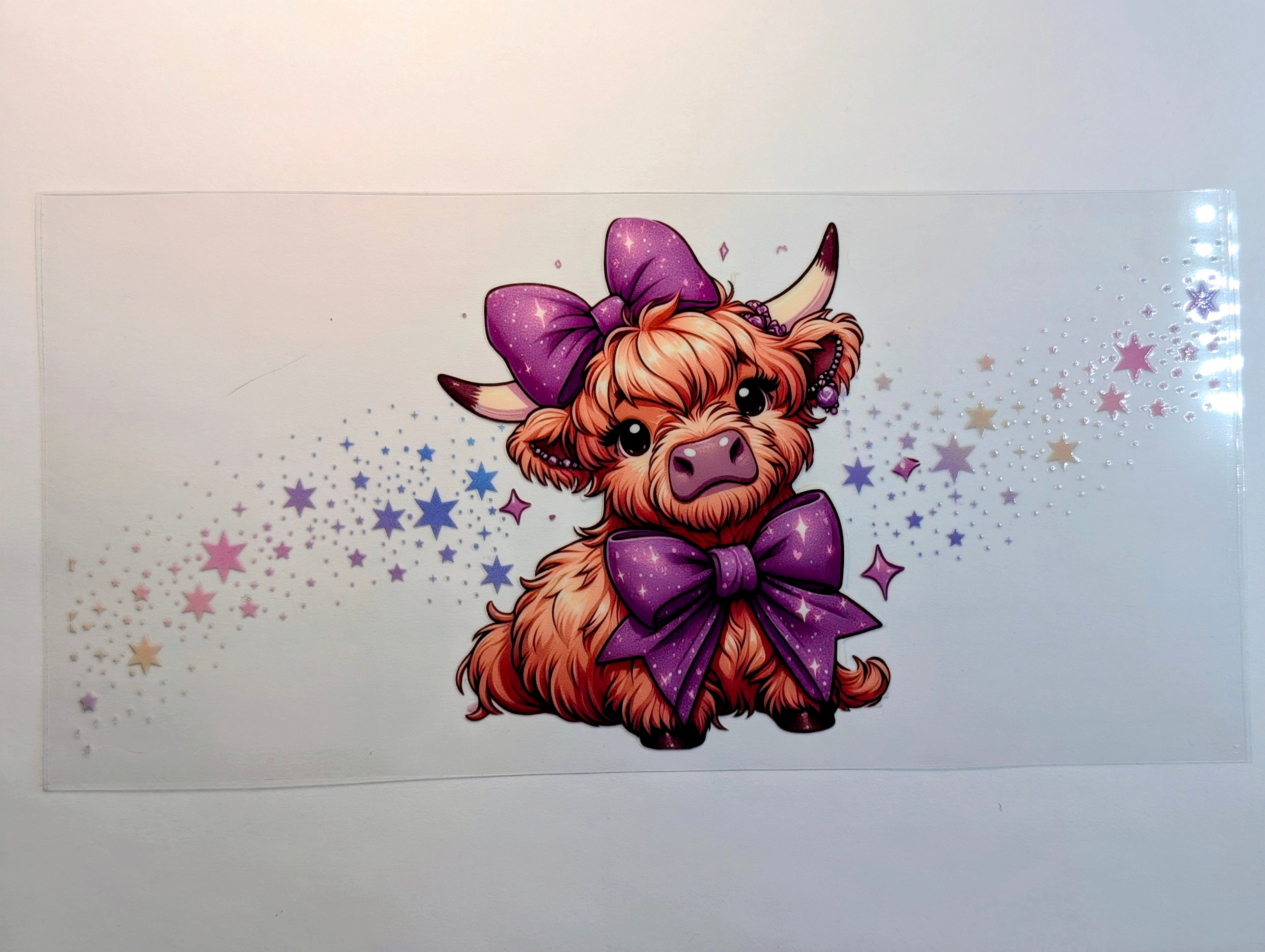 Cow/ highland#3