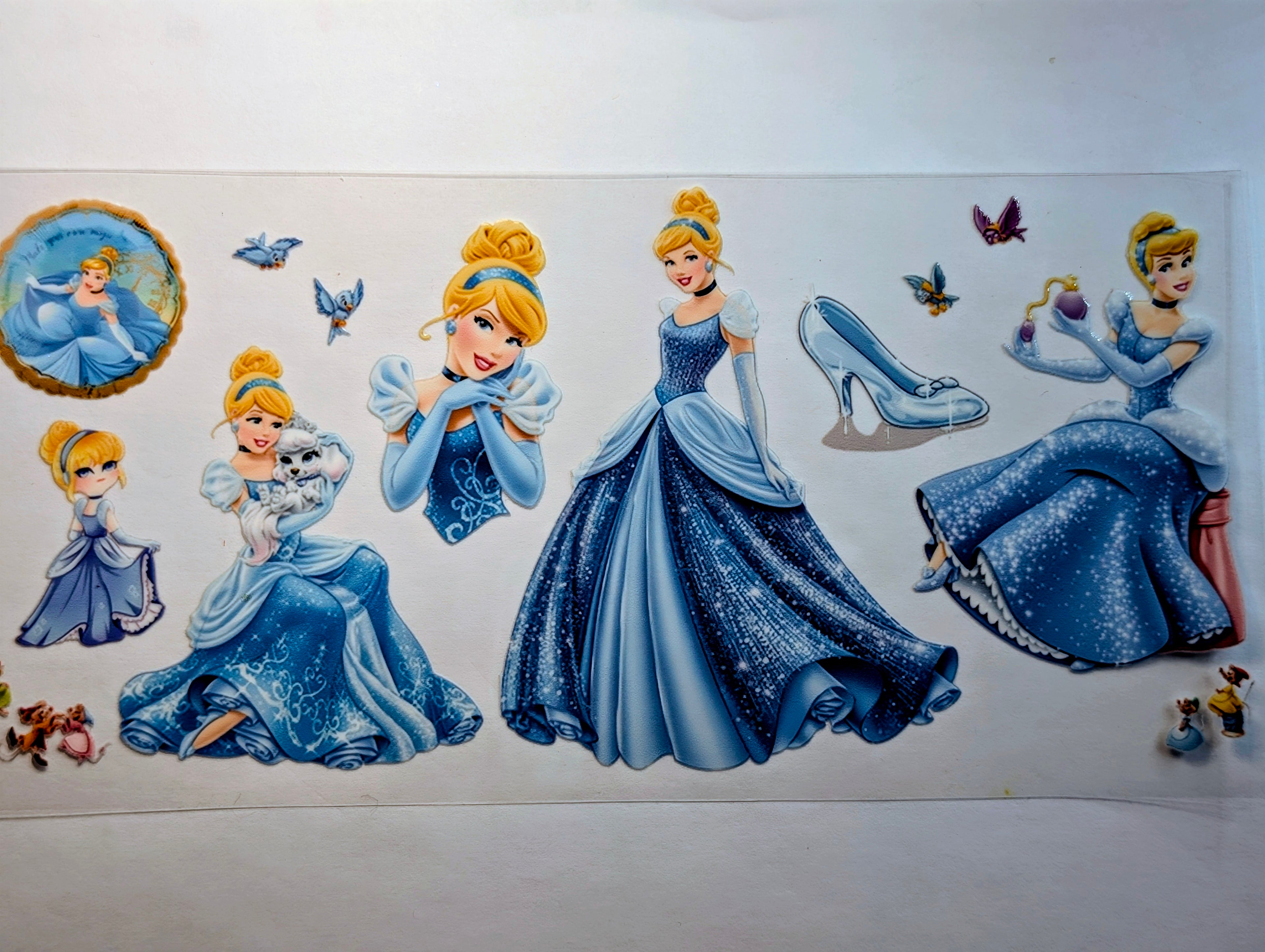 Cinderella #1