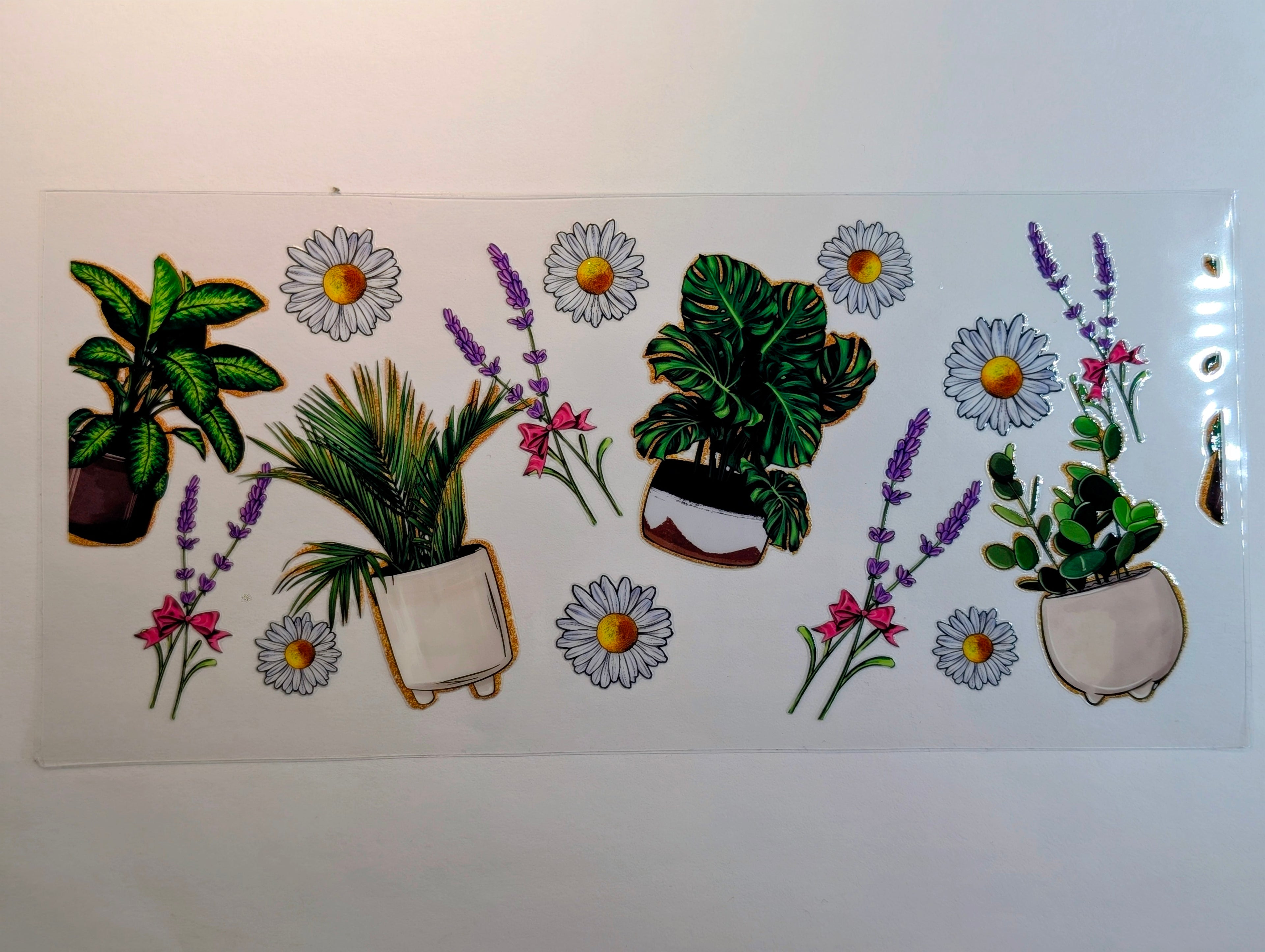 Plants#2