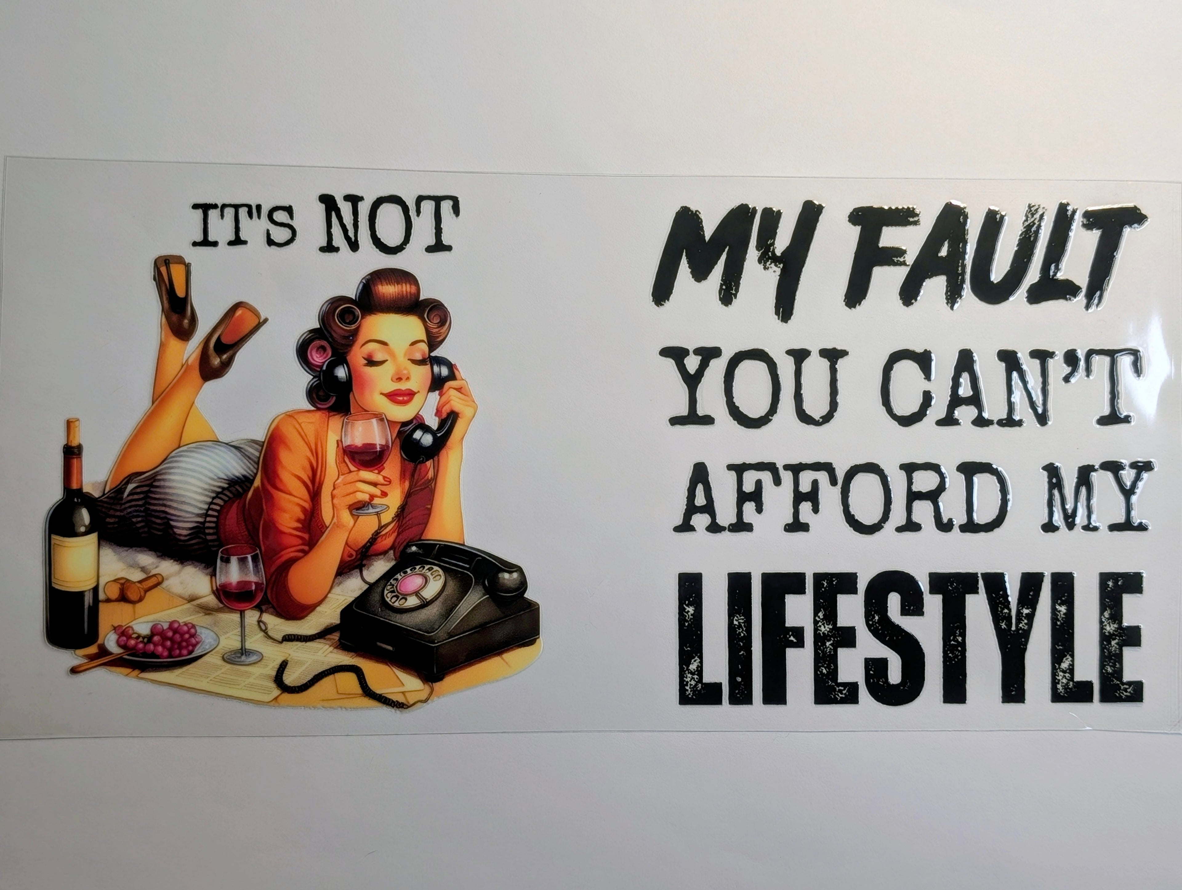 It's not my fault u can't afford my lifestyle