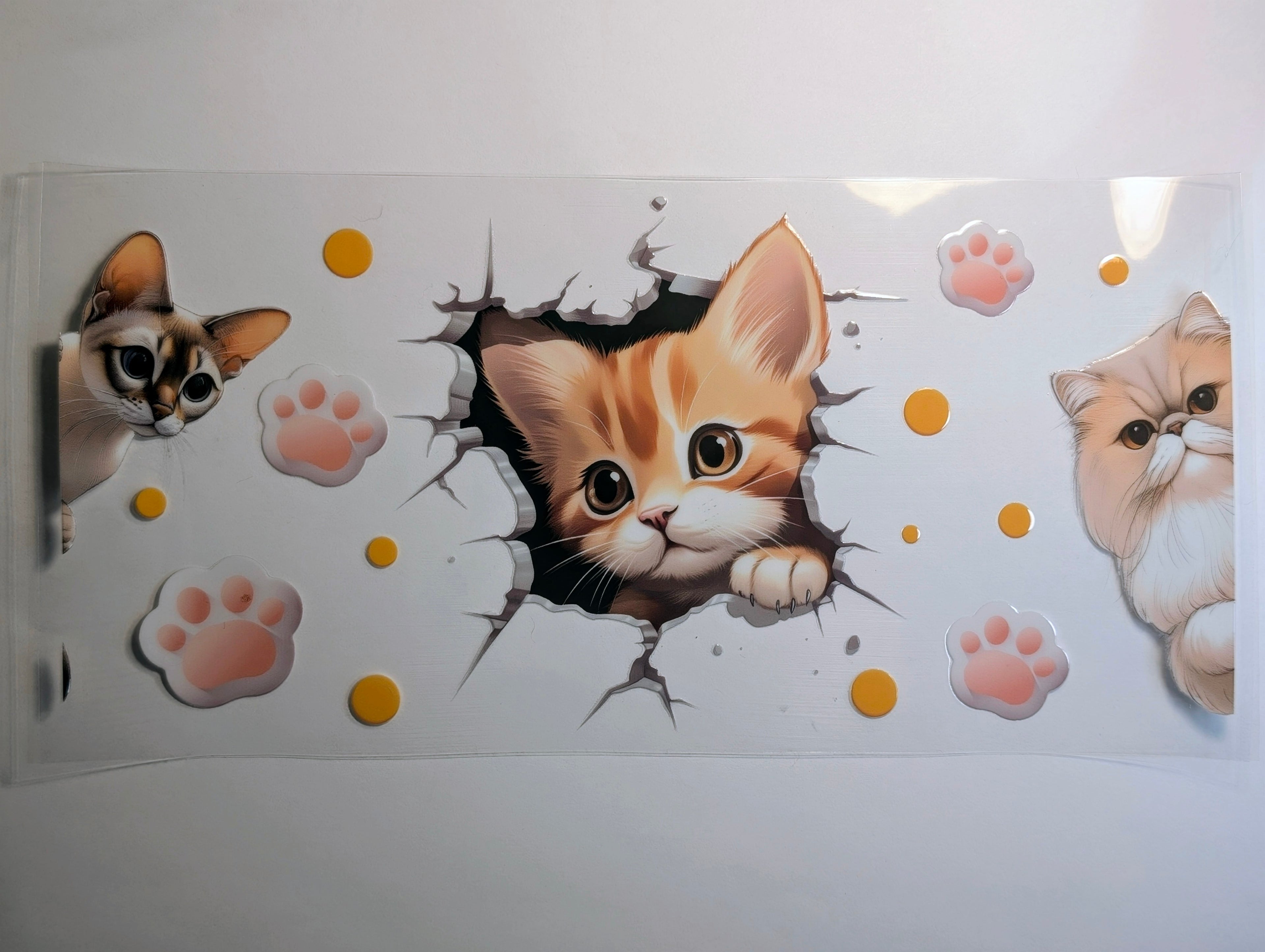 Cat#7