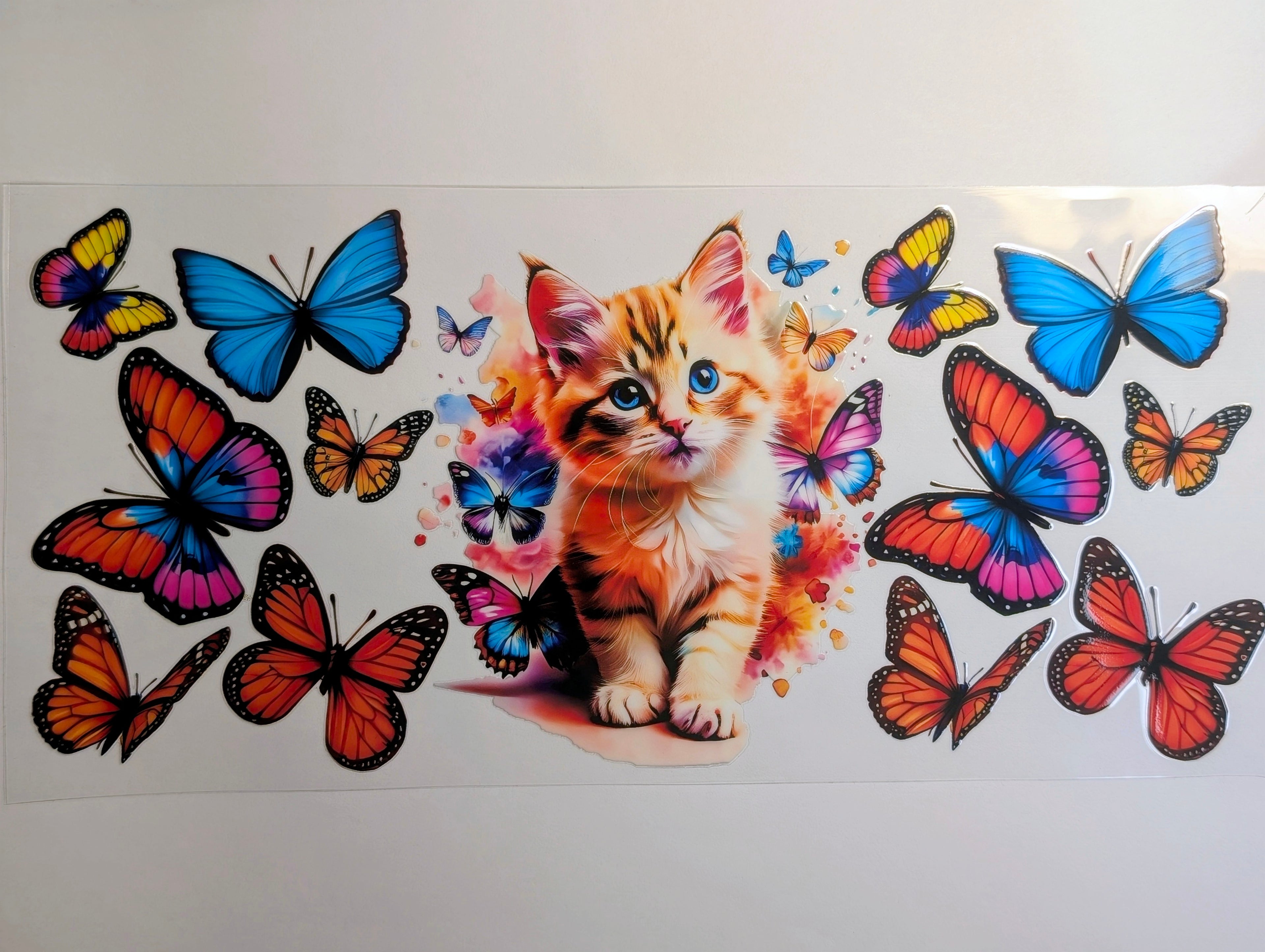 Cat#2