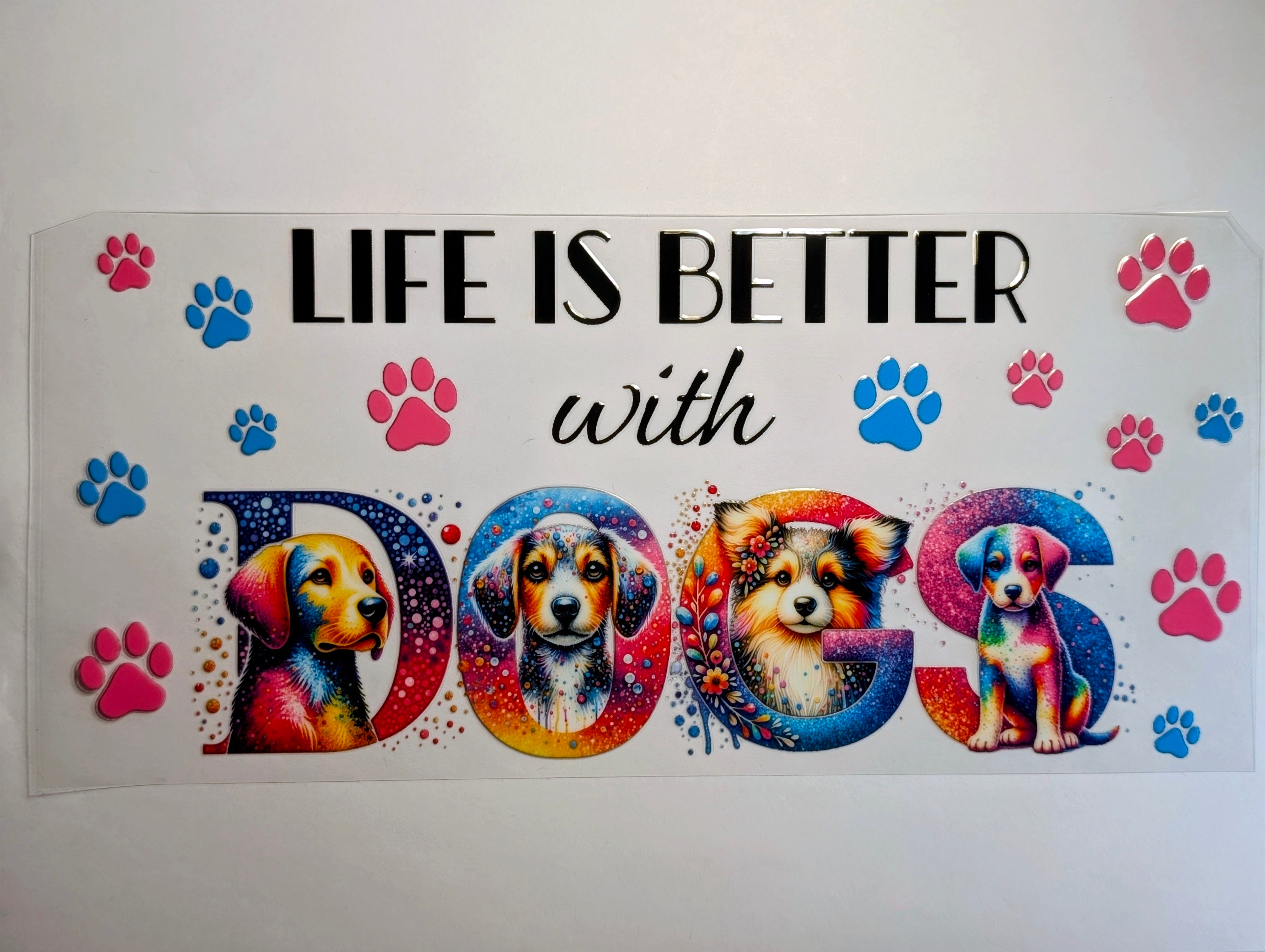 Dog #11
