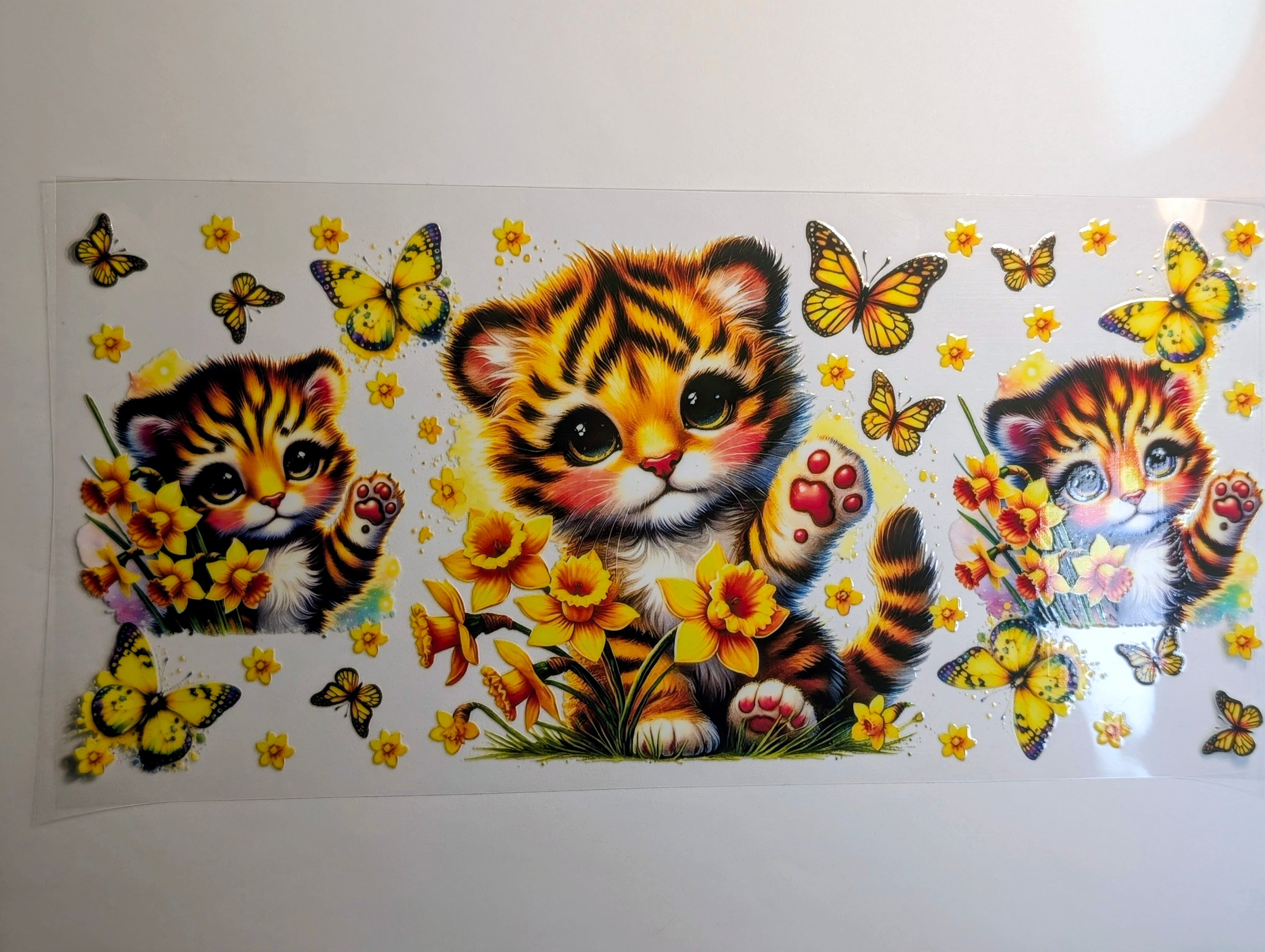 Cat#3