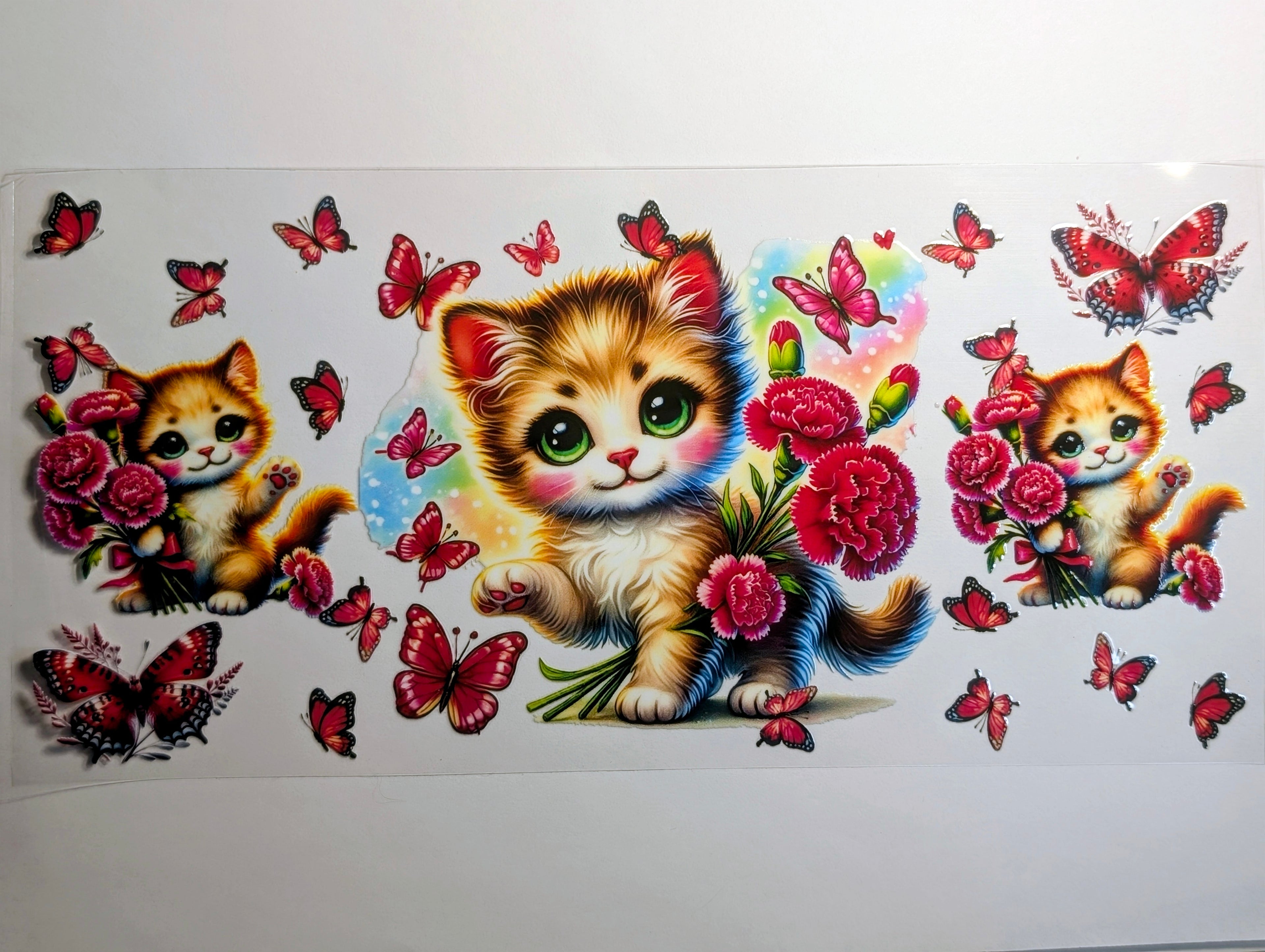 Cat#6